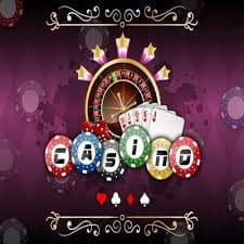 baggo net
