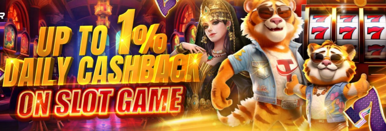 baggo net